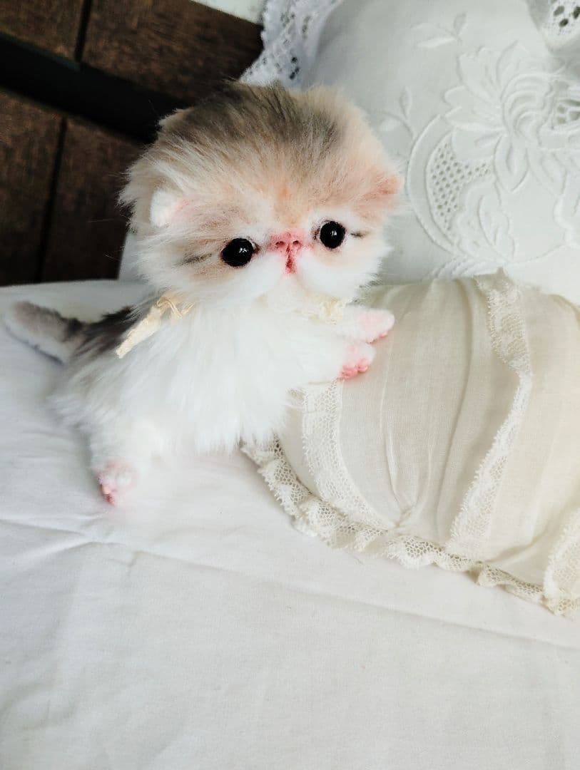 ママ募集❤くりくりオメメ♡ちっちゃな子猫ちゃん♡アートドール♡ぬいぐるみ♡