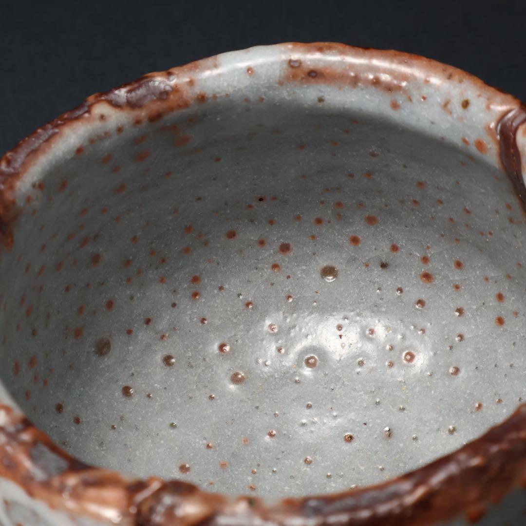 【最終価格】抹茶碗　鼠志野亀の絵　月形那比古　夏至亀　共箱　R1424お14