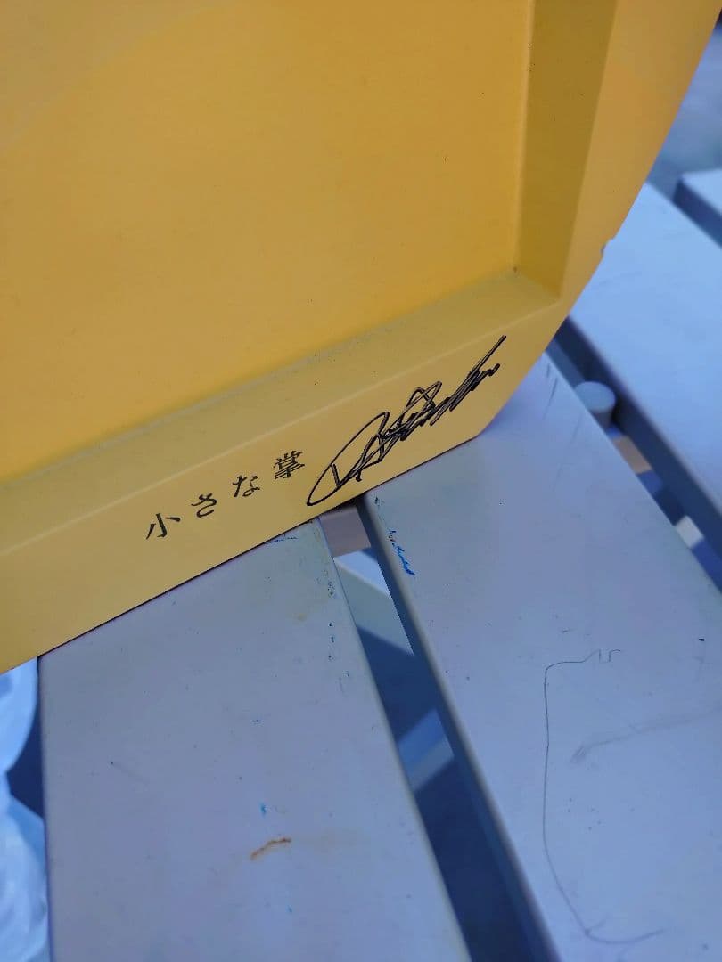 Aqua Timez　デカリンゴ