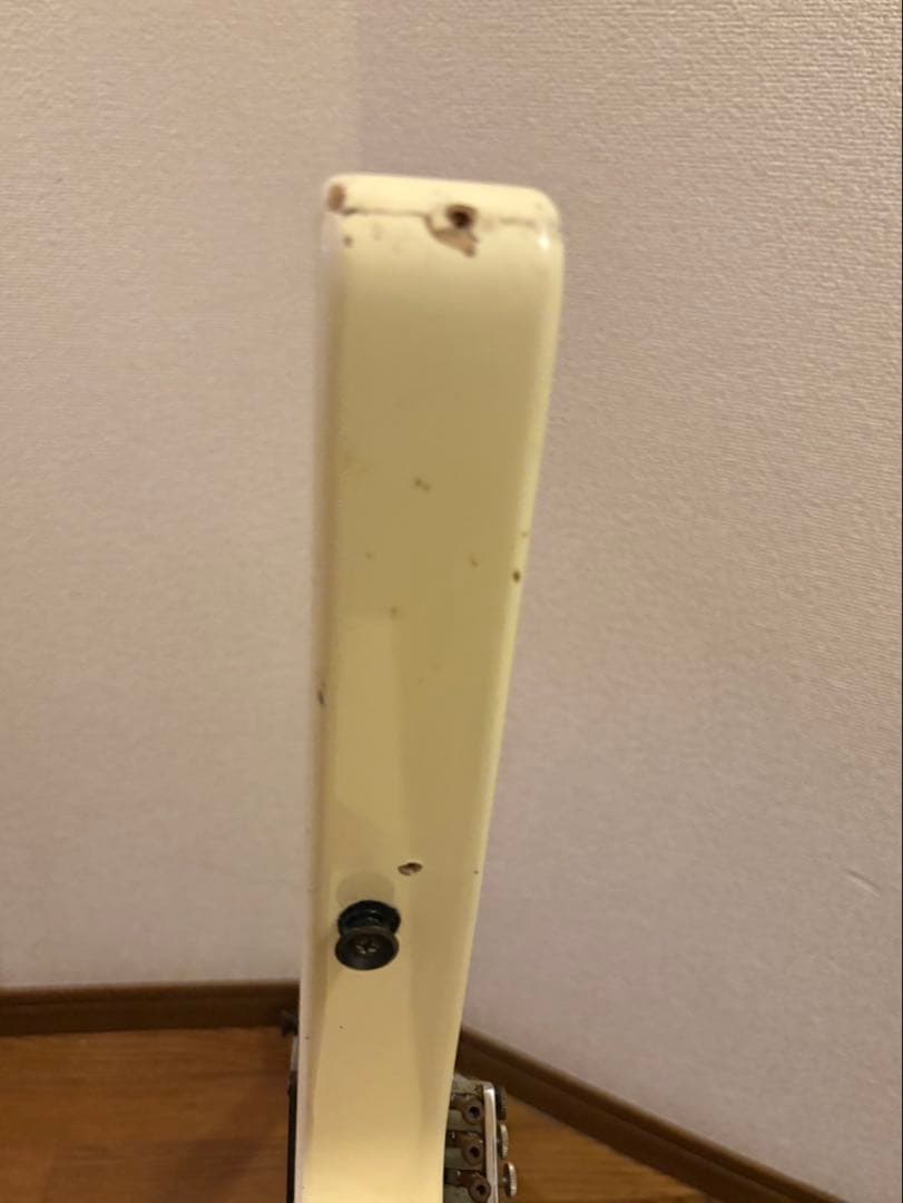 ギター Fernandes The Function