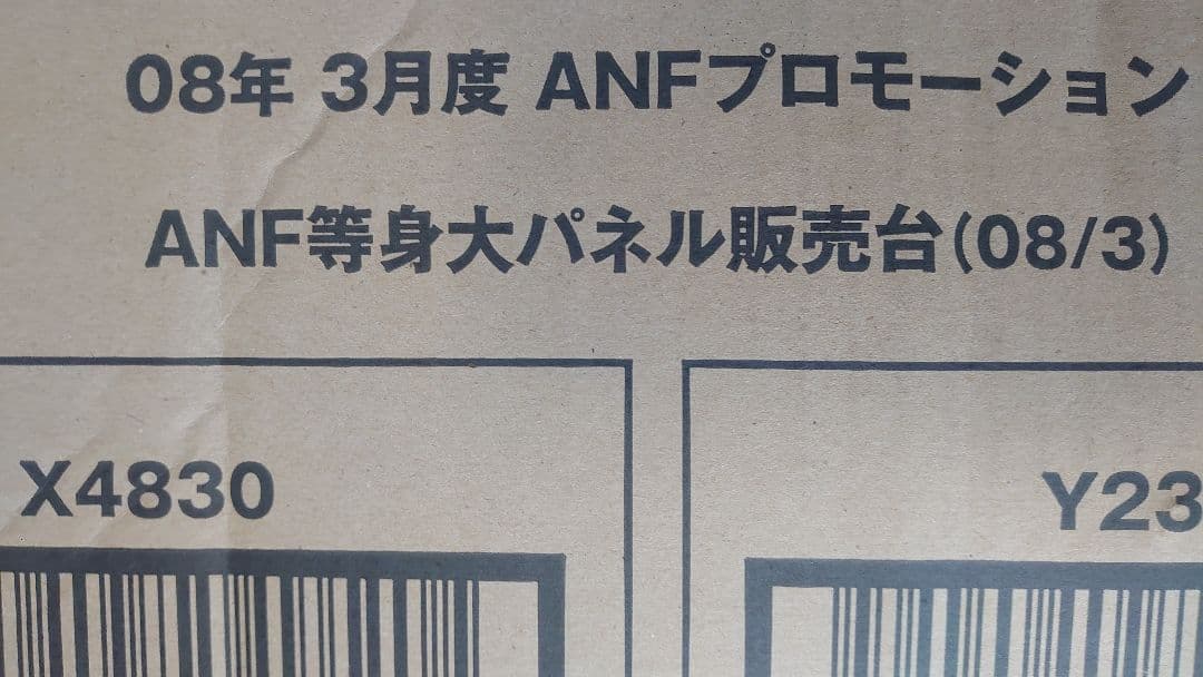 も*え様 ✨美品✨蛯原友里 水着 等身大パネル 　 ANESSA アネッサ 黄