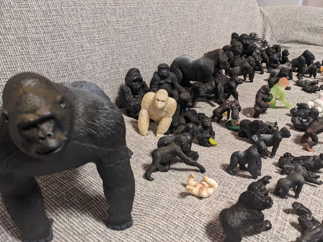 ゴリラの群れ　 約70体