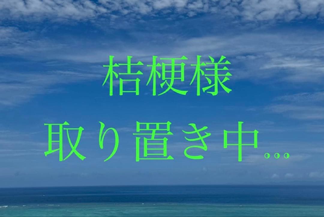 【取り置きしてます】ホワイトスカイヴェールトップス