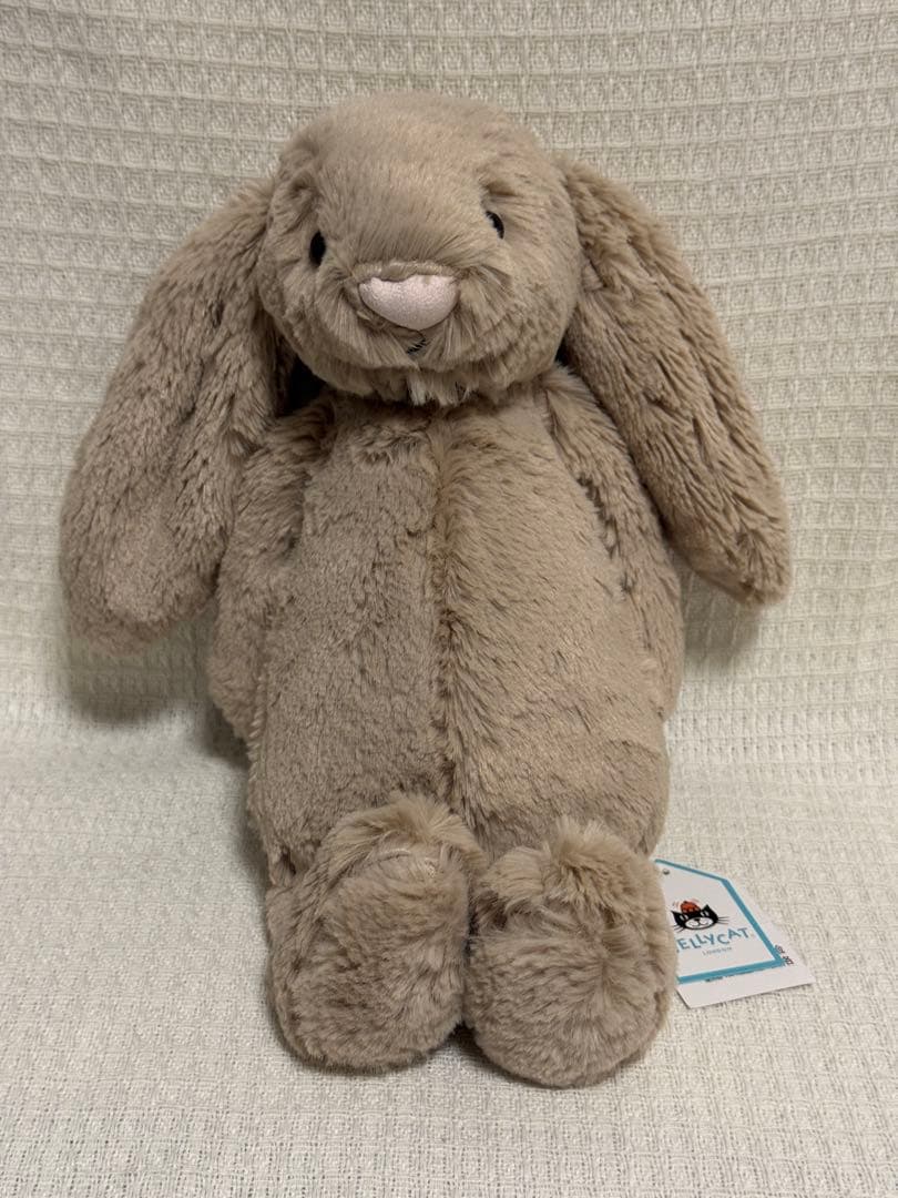  ジェリーキャットBashful Beige Bunny (M)