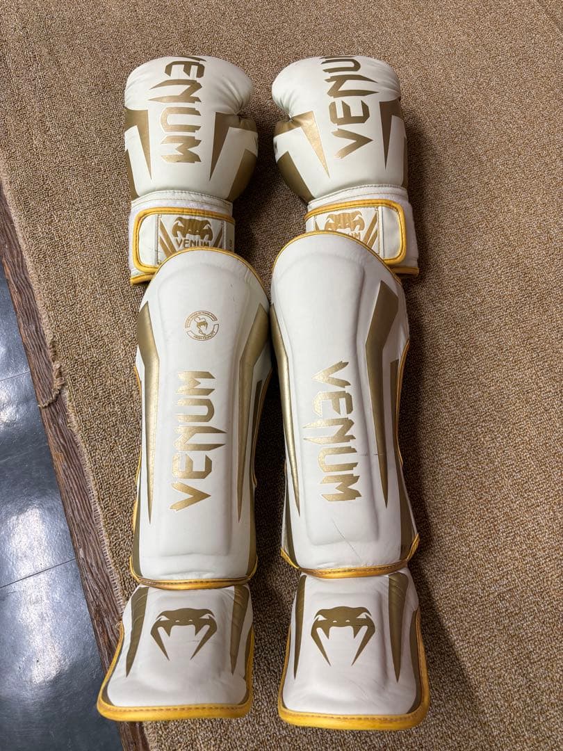 無限体力さん専用　ヴェヌム　グローブレガースセット