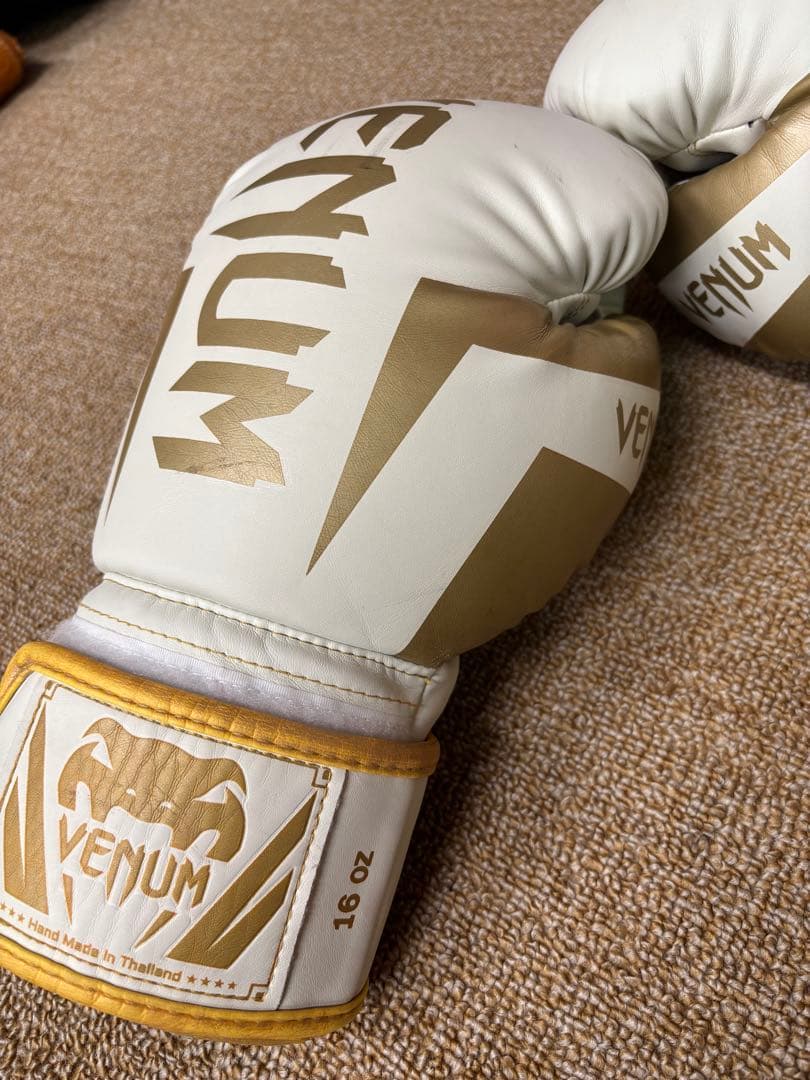 無限体力さん専用　ヴェヌム　グローブレガースセット