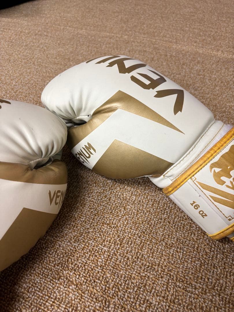 無限体力さん専用　ヴェヌム　グローブレガースセット