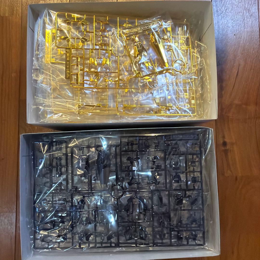 RG ユニコーンガンダムフェネクス & バンシィノルン　コーティング　未組み立て