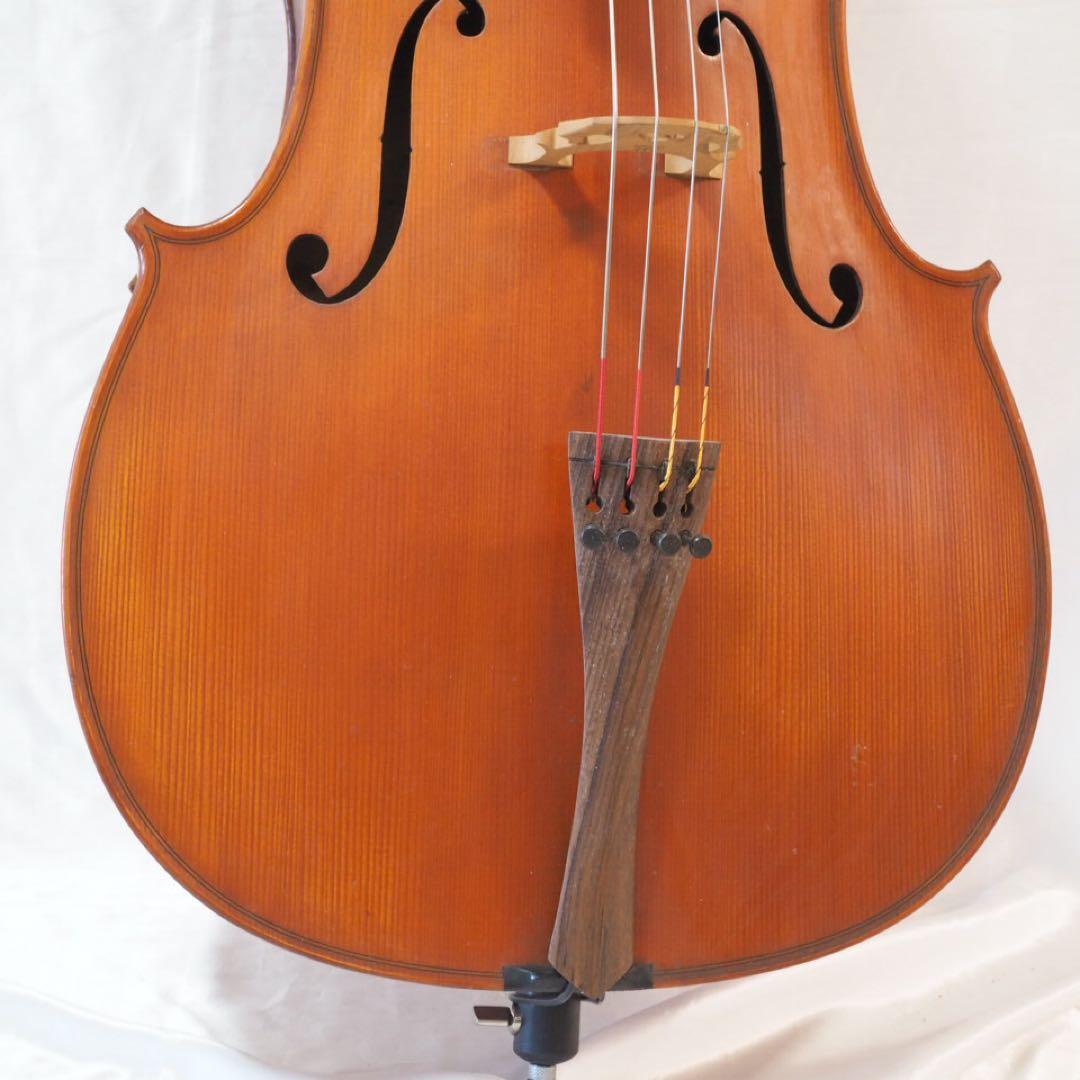 Gliga チェロ グリガ ムジリア Musilia 高級 ハードケース