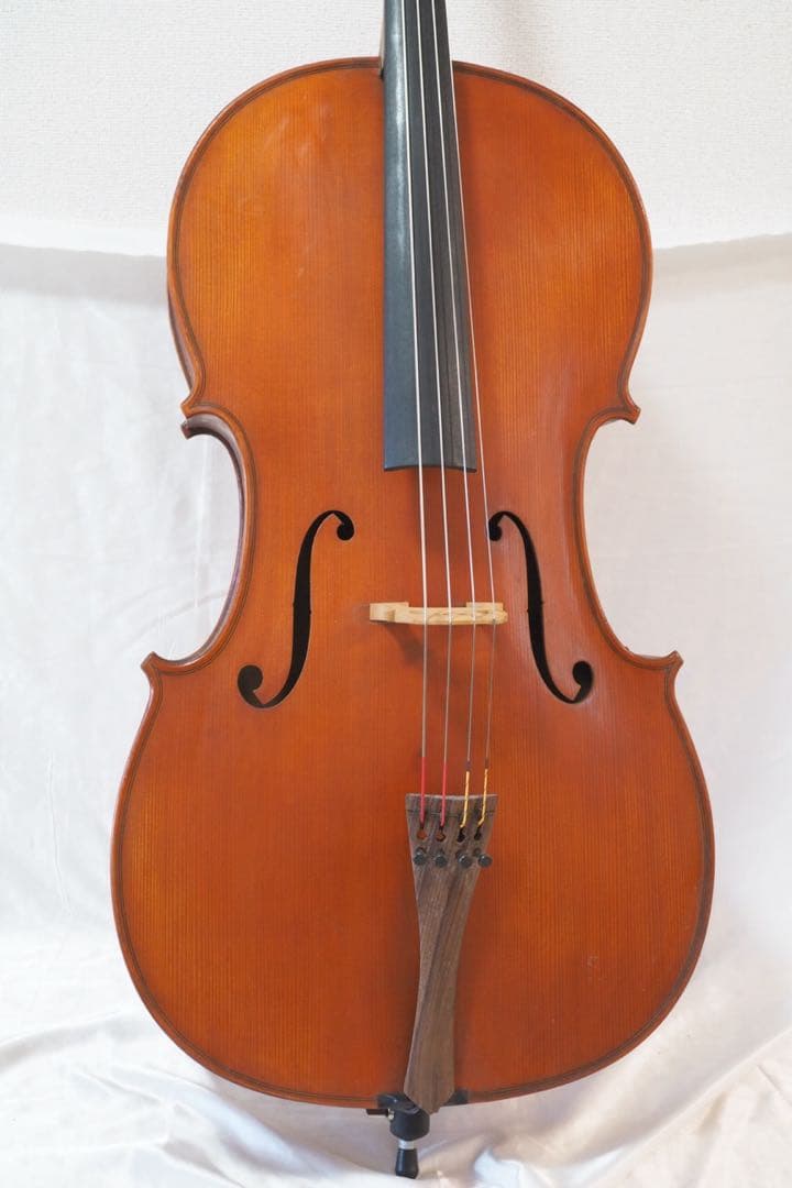 Gliga チェロ グリガ ムジリア Musilia 高級 ハードケース