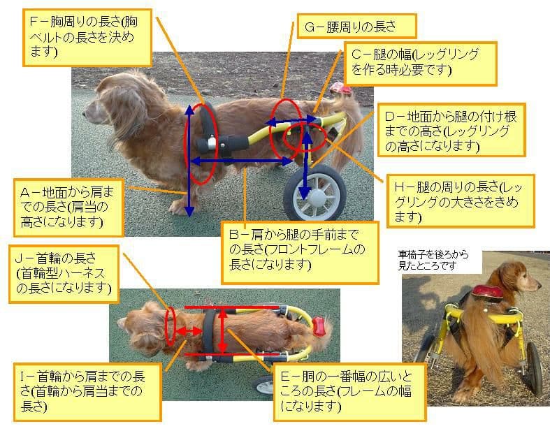 犬用車椅子 歩行器アドワークス製