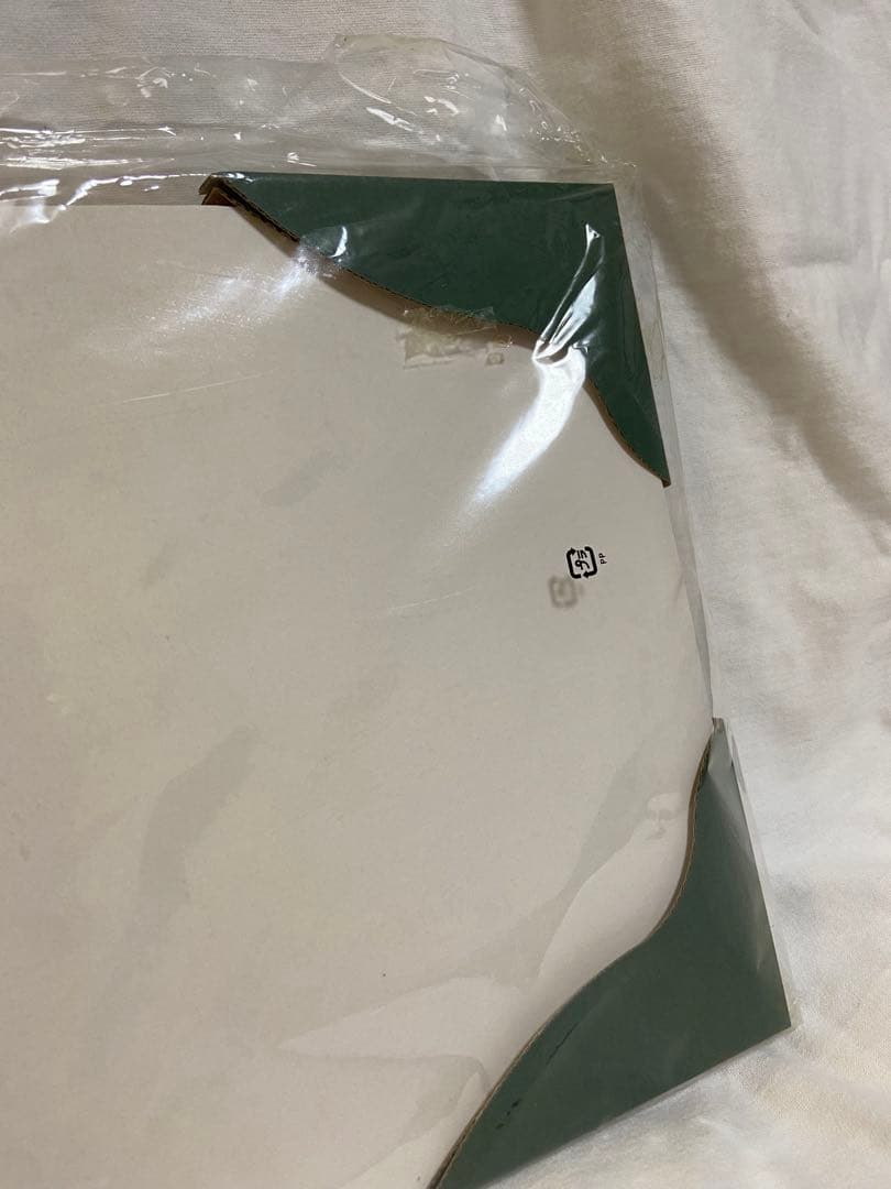 【非売品】アドベンチャーワールド　双子パンダ DVD 写真 A4フレーム レア