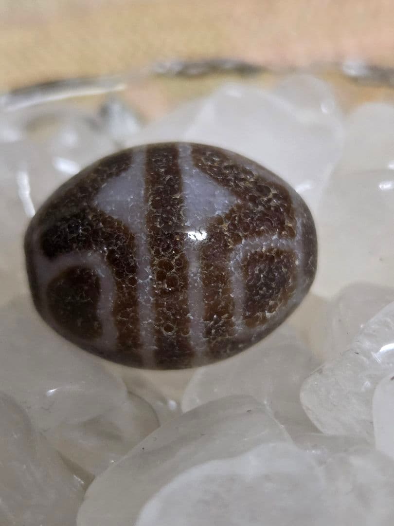 052　天珠　楕円形　虎牙蓮花天珠　dzibeads！