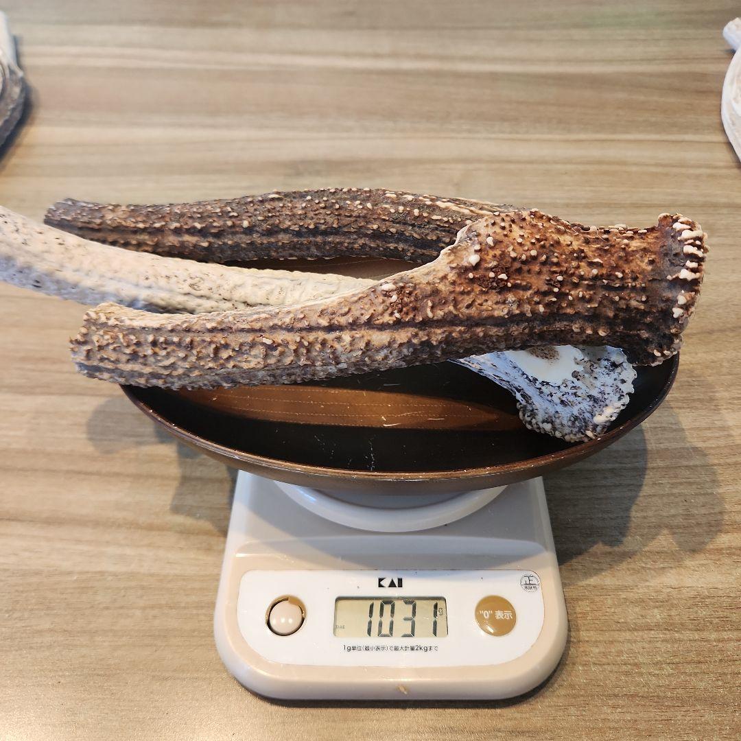 鹿の角 (特大～大サイズ)犬用おもちゃ ランダム　2kg　およそ4本～8本