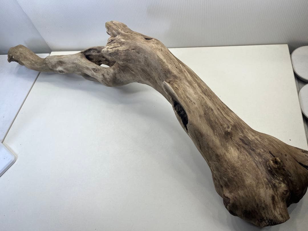 R64特大流木 アク抜き済み流木 爬虫類シェルター 登り木 インテリア 生け花