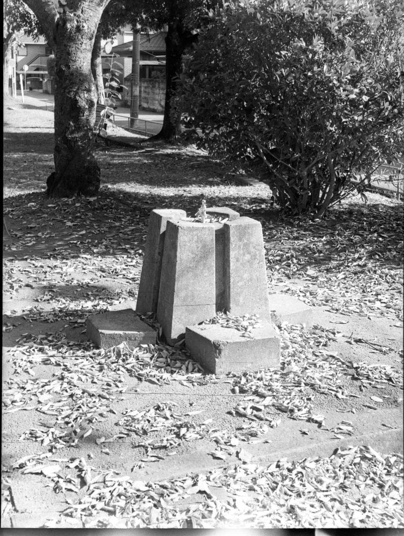 【作例あり】Canon P ポピュレール 露出計付き フィルムカメラ