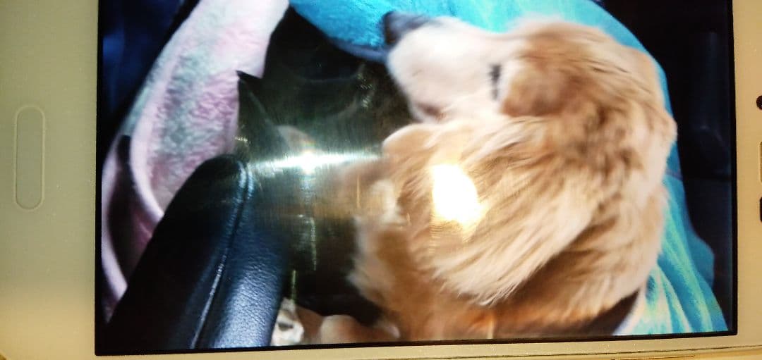 確認お願いします