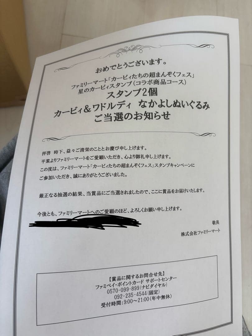 20名限定品‼️限定カービィとワドルディ ぬいぐるみセット