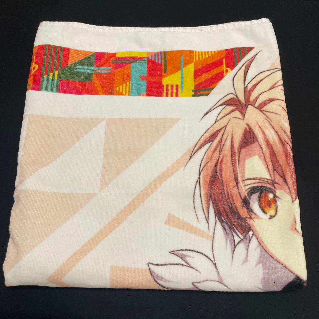 和泉三月 ビッグタオル まとめ売り