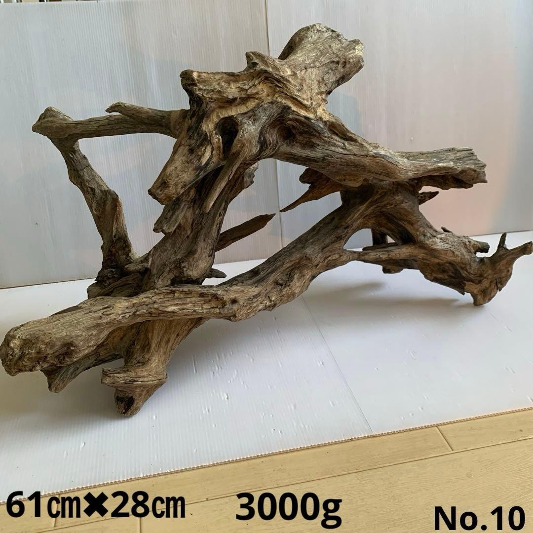 銀*時様 アク抜き済み流木　No.10 超レア型　沈水確認済