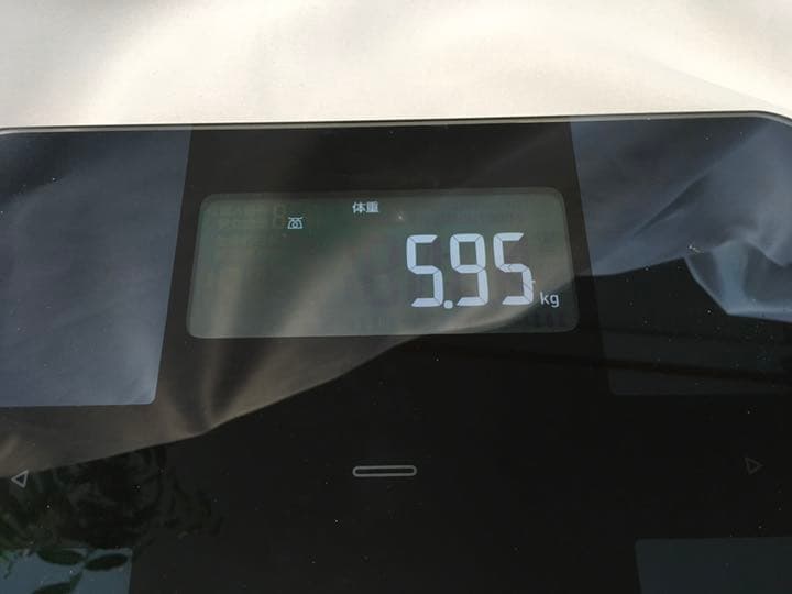 南部鉄器　彫刻飾り大皿置物