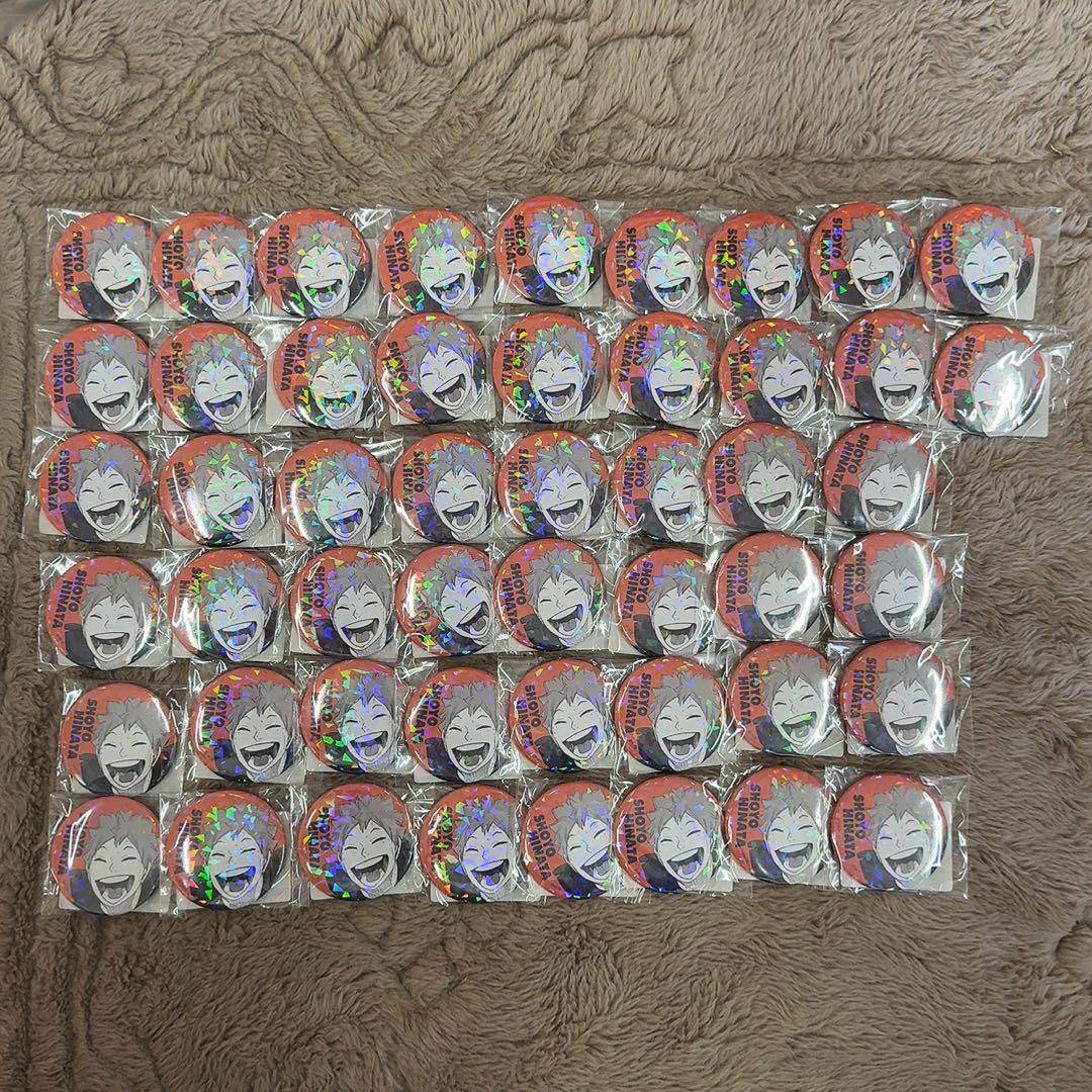 【ハイキュー!!】日向翔陽