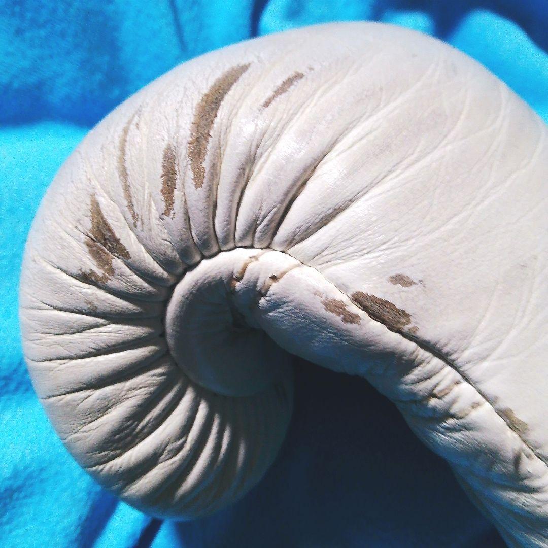 Winning ボクシンググローブ ホワイト 8oz