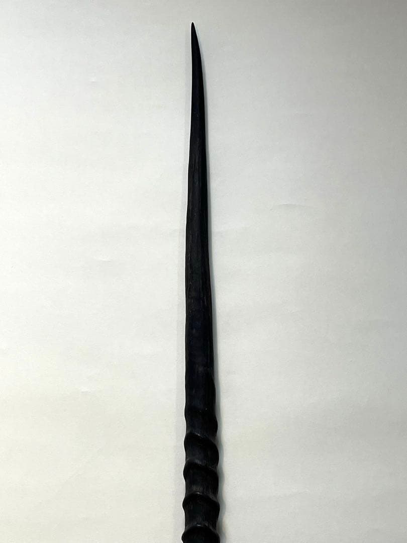 希少② オリックスホーン　鹿の角　検索）一角獣　オウムガイ