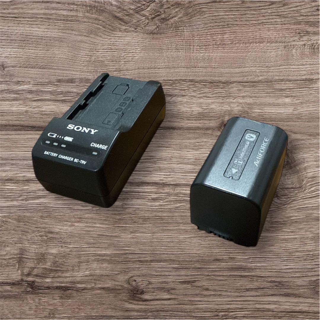 SONY ビデオカメラ HDR-CX370V