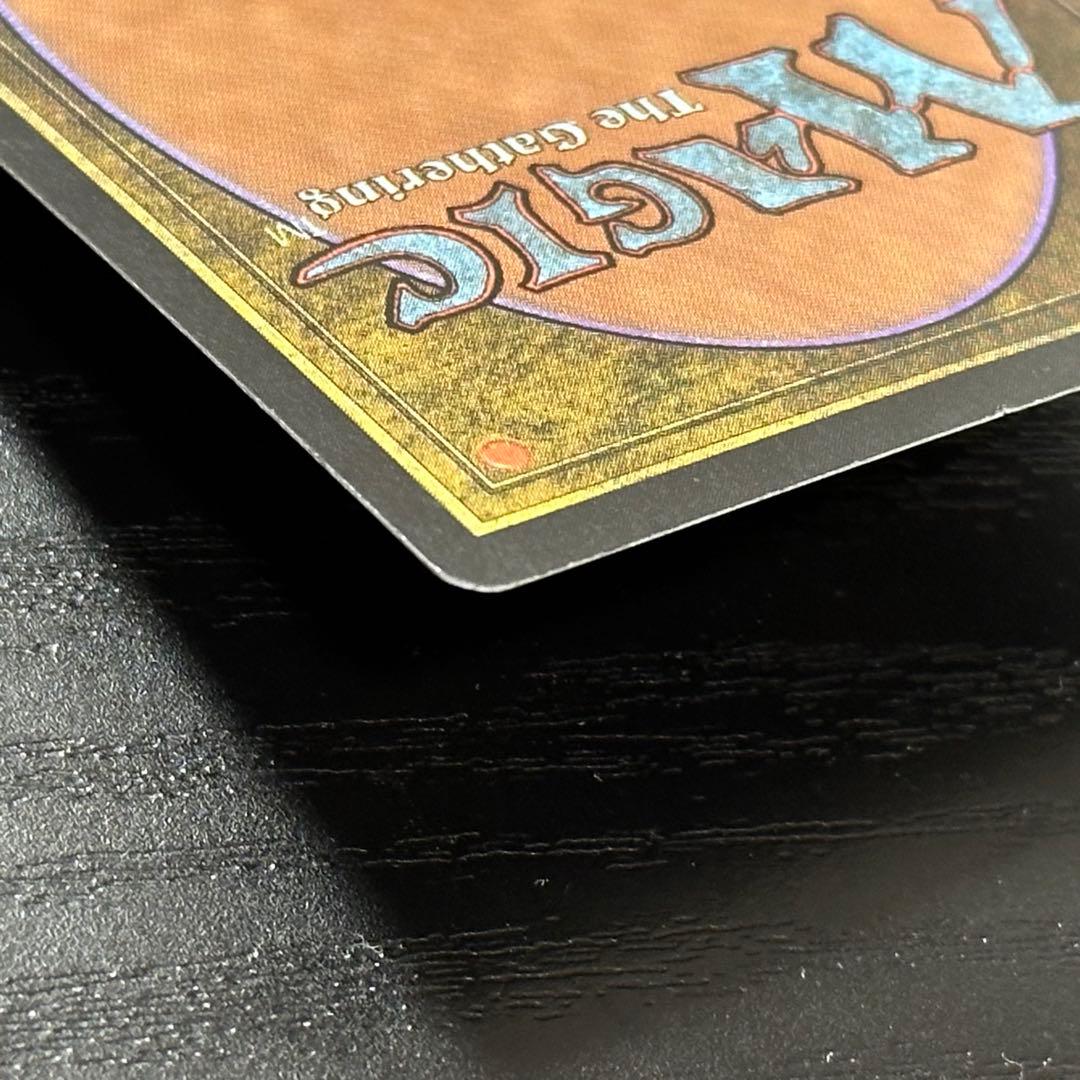 MTG セラの聖域 英語