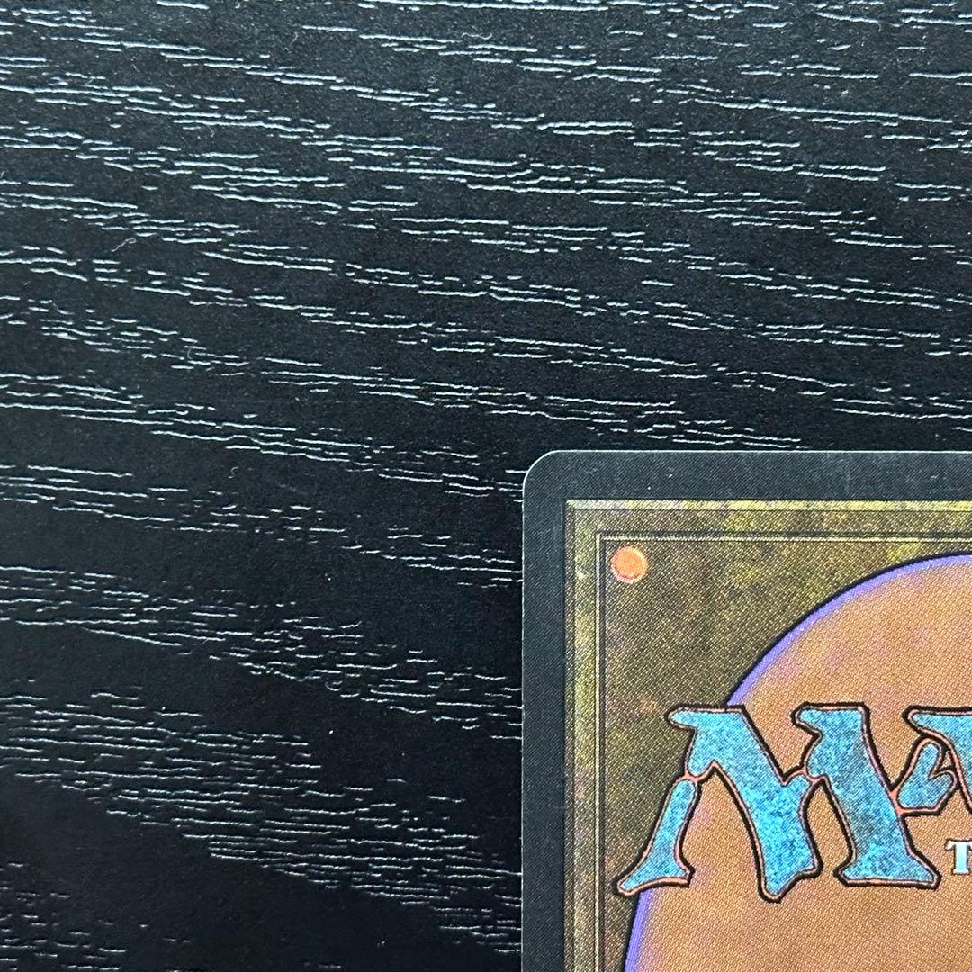 MTG セラの聖域 英語