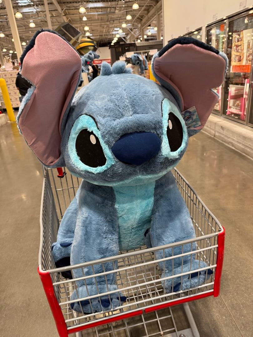 コストコ　スティッチ　ブランケット入り　新品