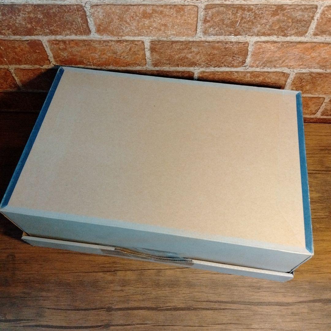 アシックス ボクシングシューズ TBX704 # 546