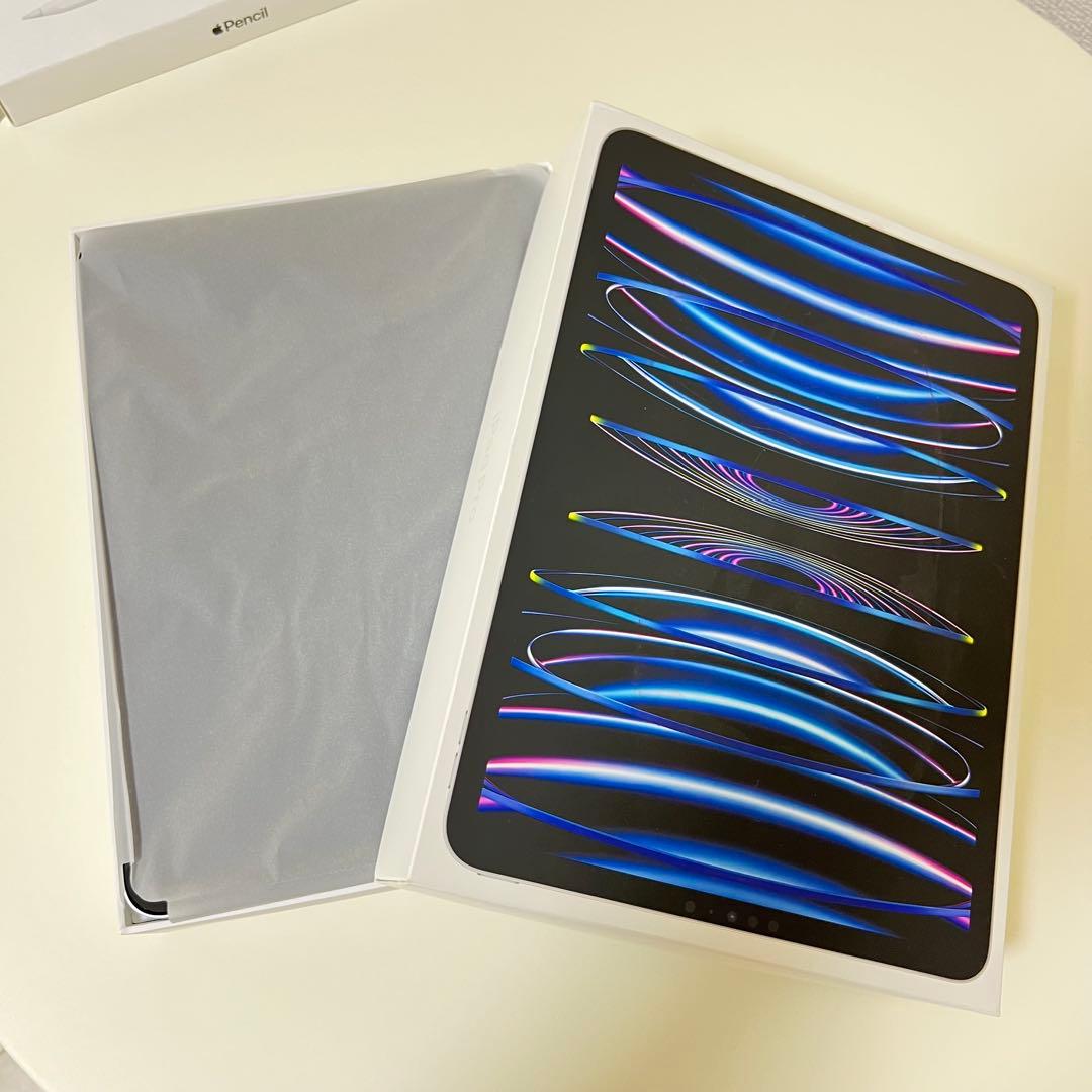 Apple iPad Pro 11インチ 本体 + Apple Pencil