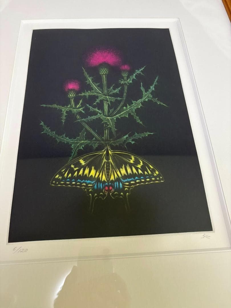 加山又造　薊　銅版画　限定120枚のうちの6番