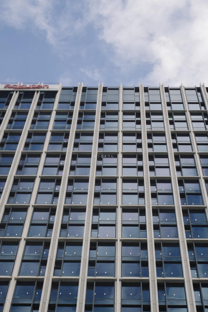 木村文乃使用モデル！Leica Elmarit 90mm F2.8 ケース付き！