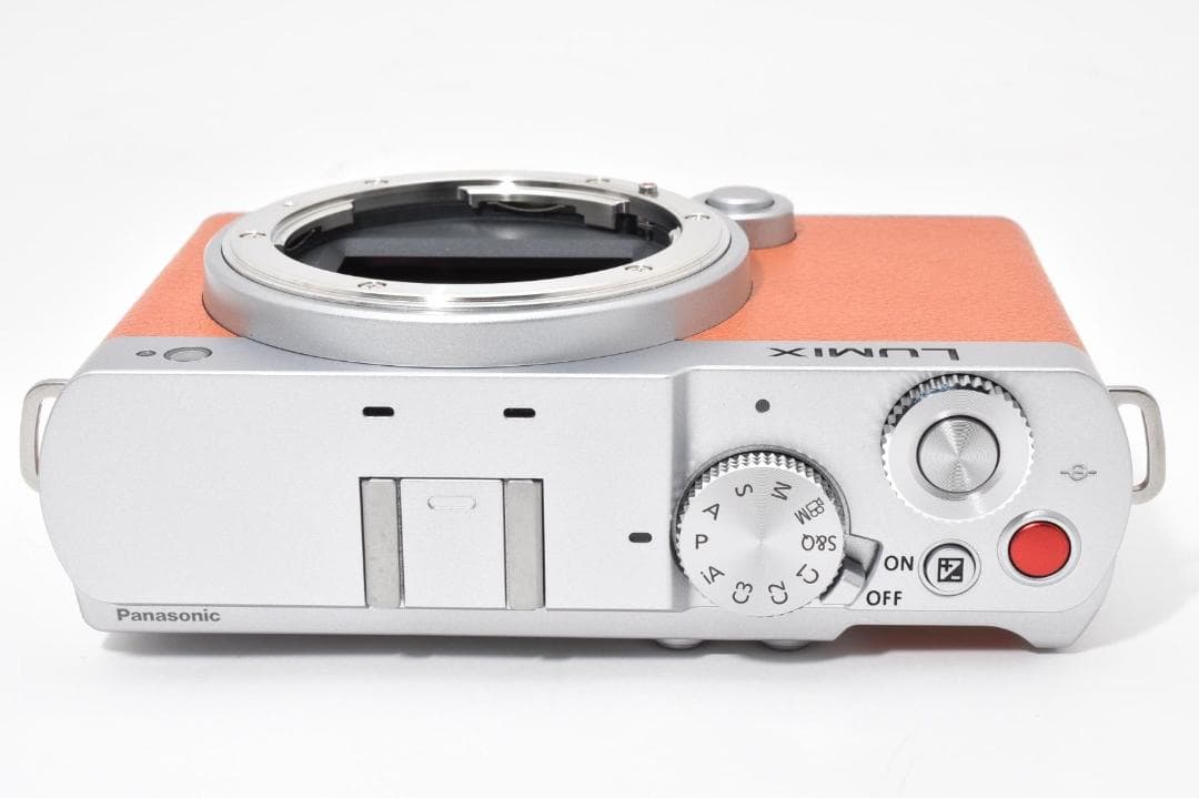 【新品級】ルミックス Lumix s9 DC-S9 キャメルオレンジ