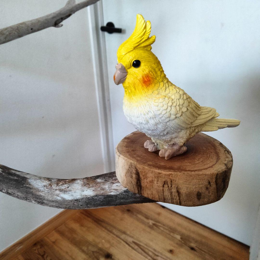 バードアスレチックジム大型 ㊷ 天然木 自然木 流木 インコ おもちゃ