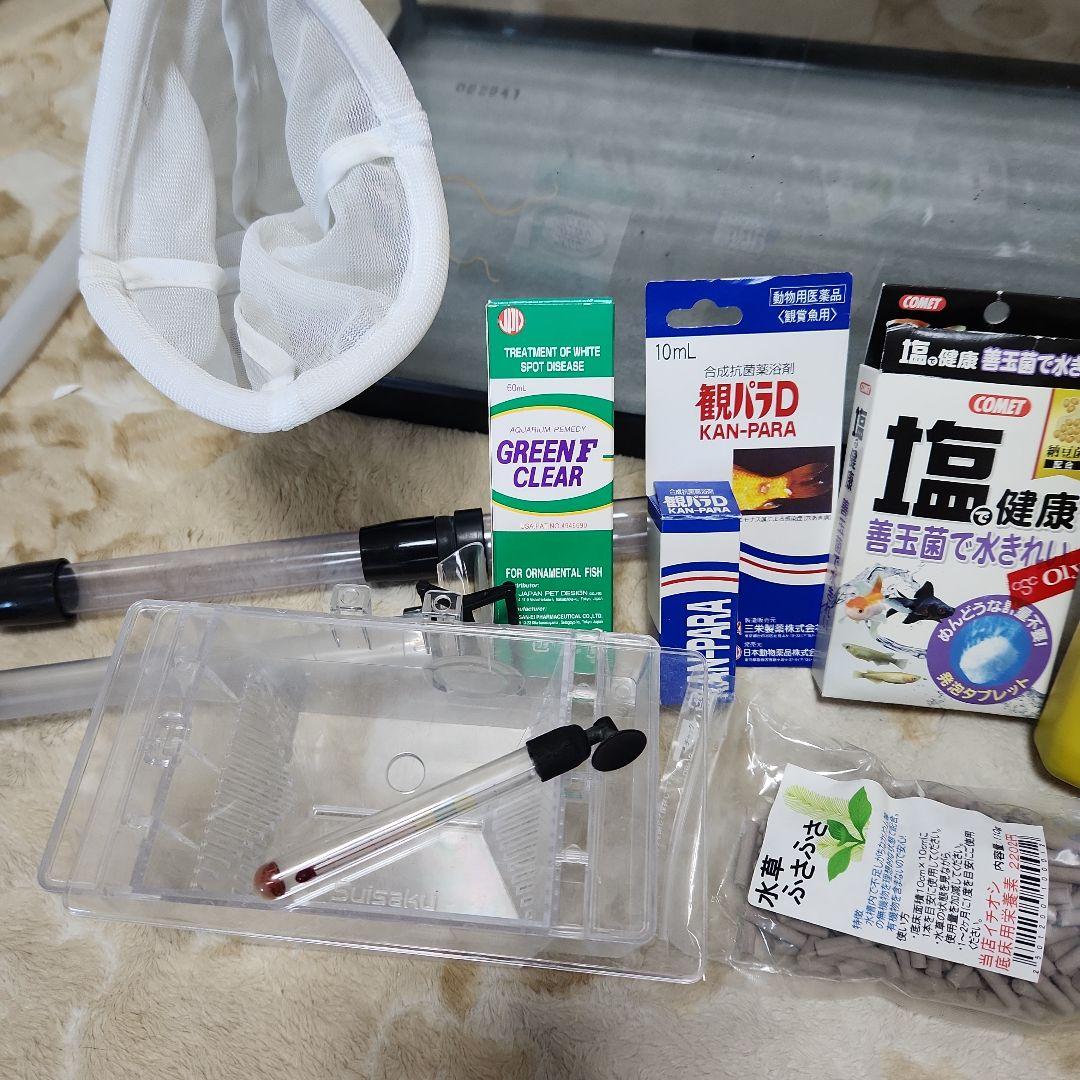 60cm 水槽 熱帯魚 フルセット