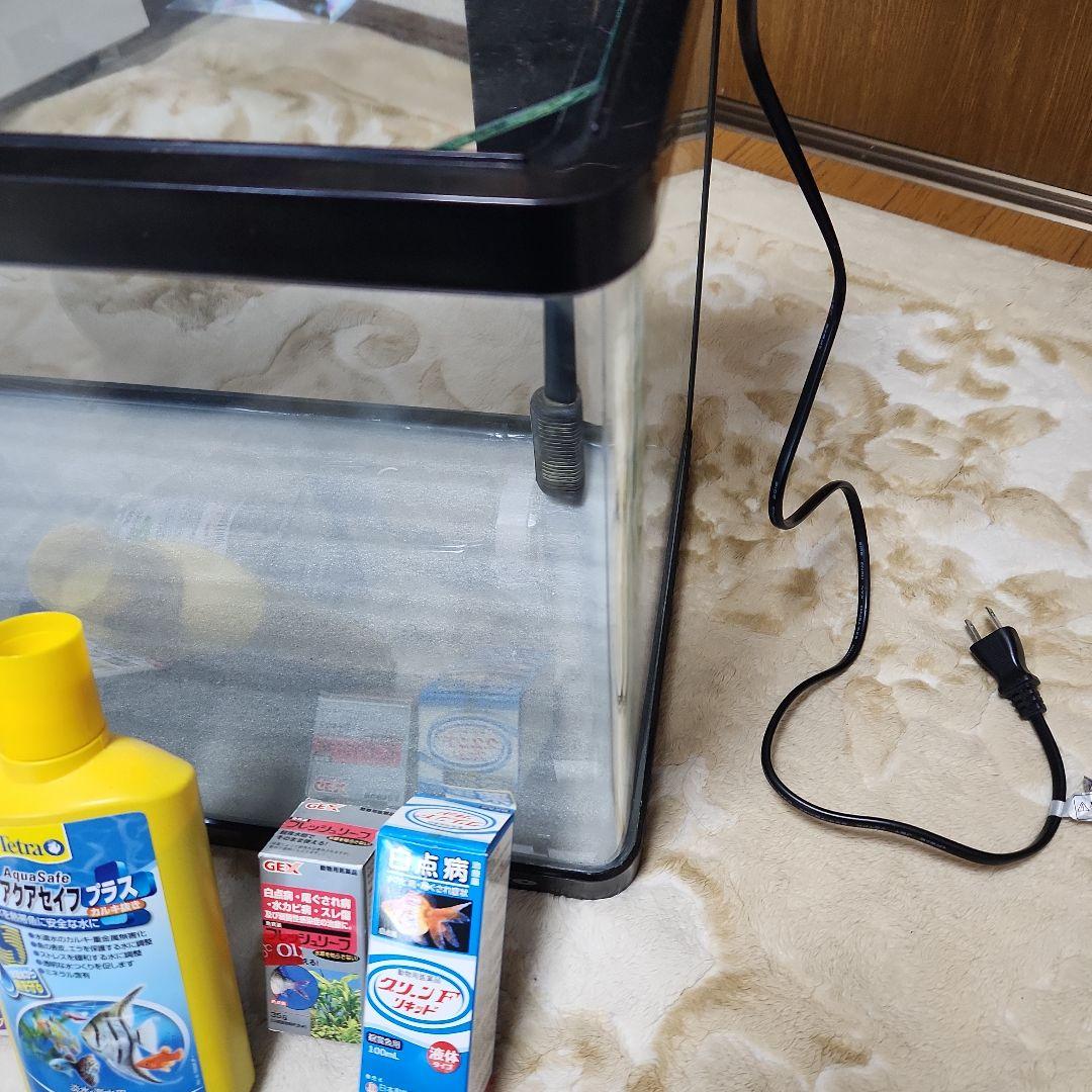 60cm 水槽 熱帯魚 フルセット