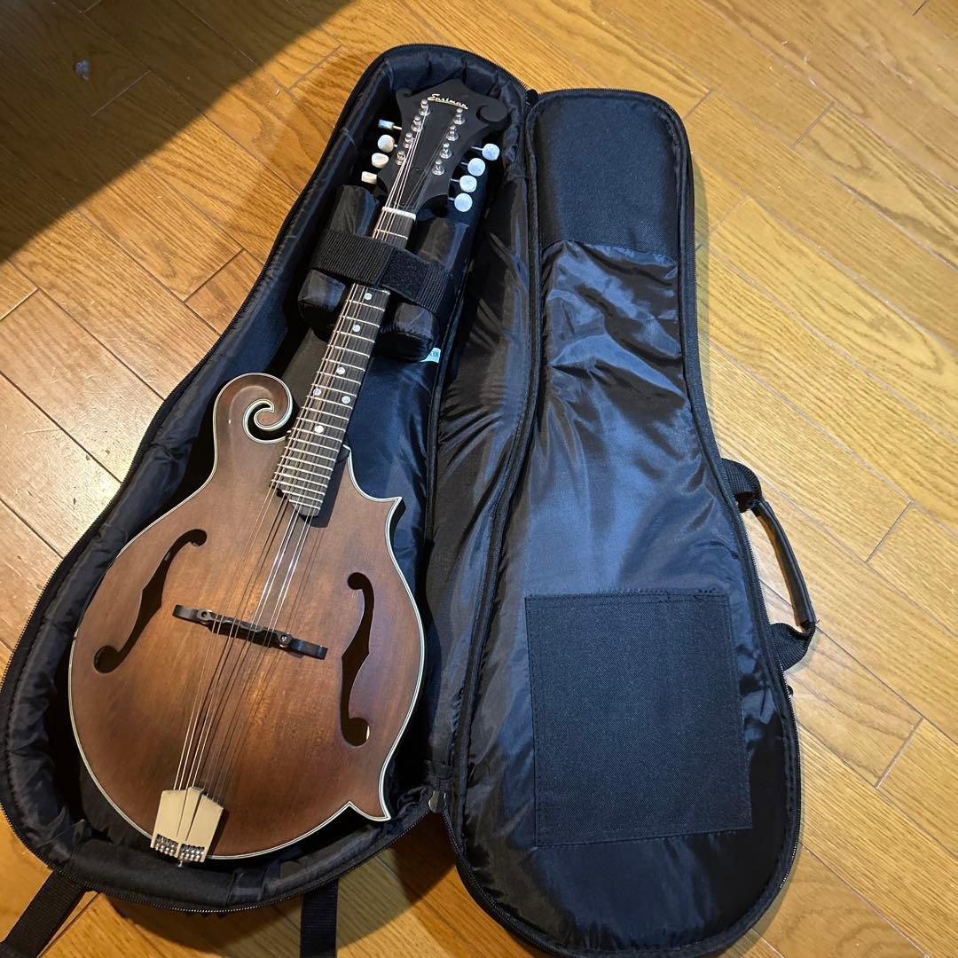 フラットマンドリン　イーストマン　md-315 /CLA ピックアップ付き