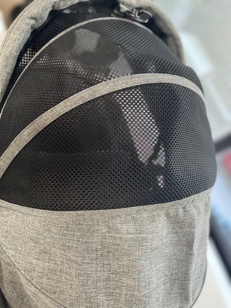 エアバギー ドーム3 ラージサイズのコット