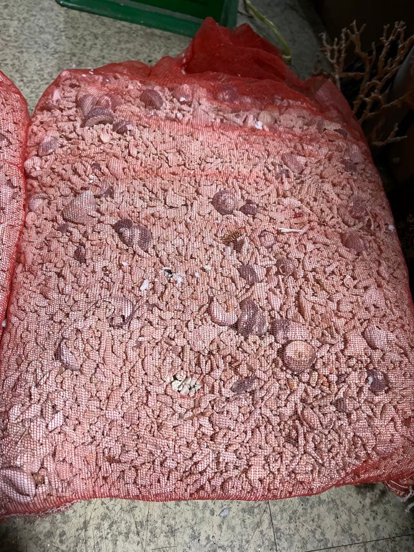 サンゴ砂、海水魚底砂、海水水槽濾過材、サンゴ米粒大、12キロサンゴ砂