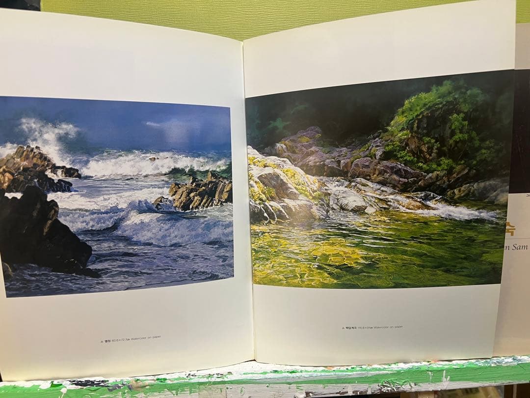 Hａn S am Ｓook 韓国女流作家、真作。 波うねる東海岸。