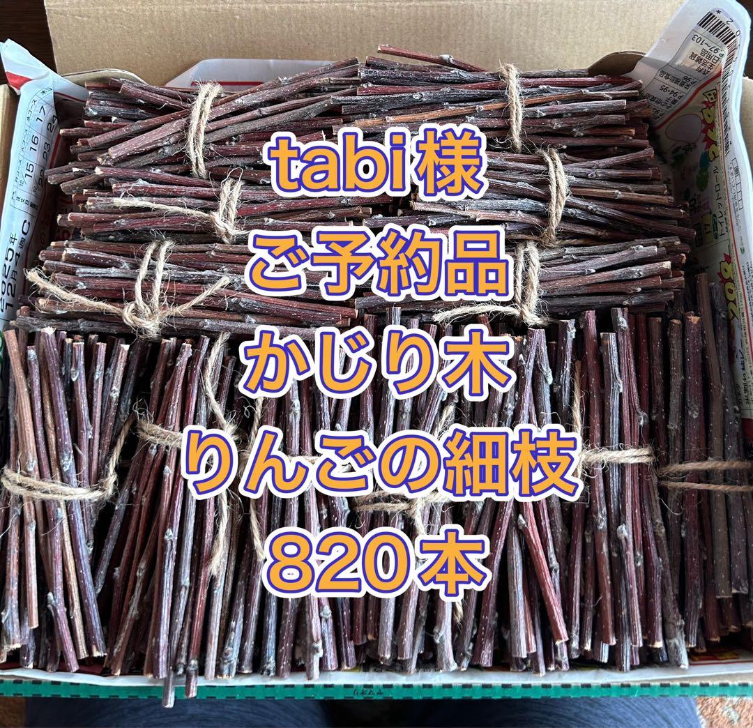 tabi様ご予約品 かじり木　りんごの細枝　太さ1〜3mm 500本➕コンパクト