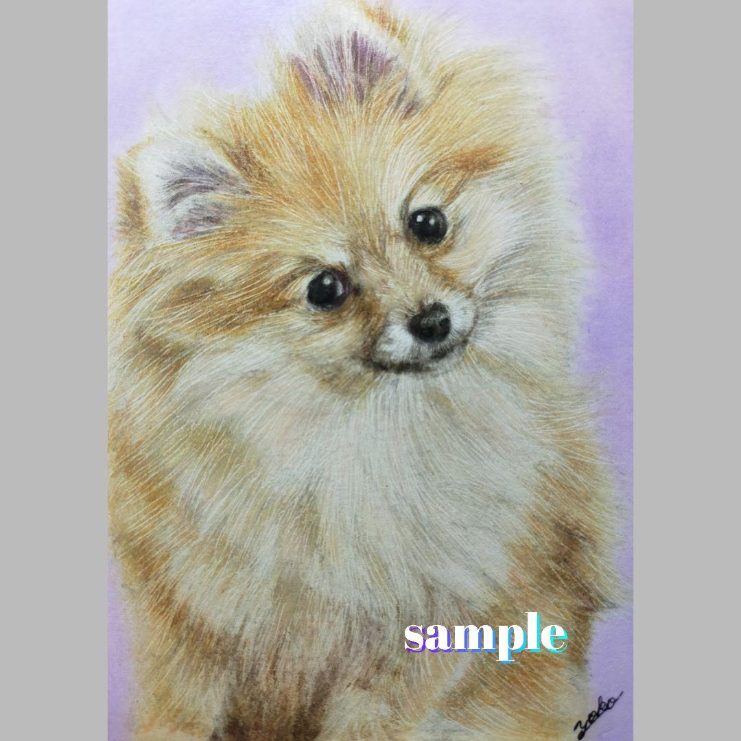色鉛筆画✭愛猫愛犬✭ペット似顔絵　肖像画　イラスト　注文オーダー　受付ページ　1