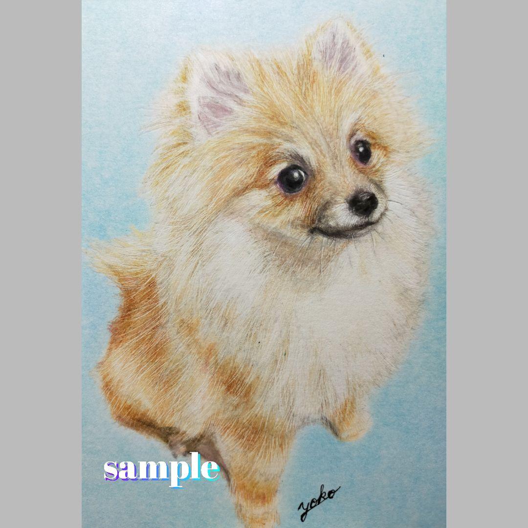 色鉛筆画✭愛猫愛犬✭ペット似顔絵　肖像画　イラスト　注文オーダー　受付ページ　1