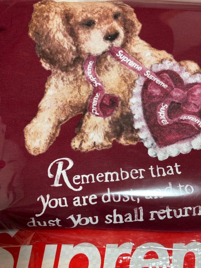 Lサイズ　Supreme Dust Tee \"Cardinal\"