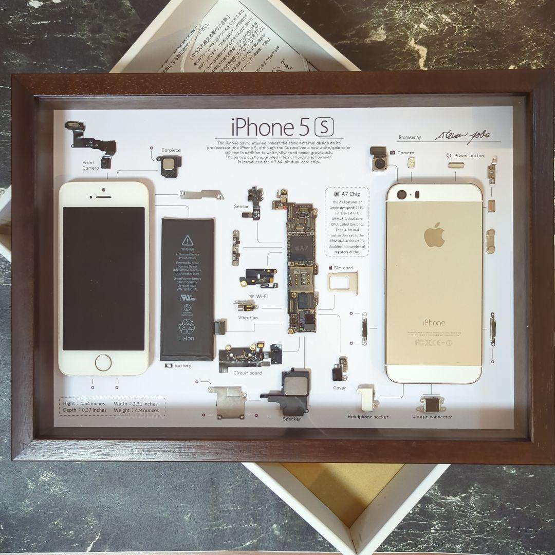 iPhone5s ゴールド 標本アート