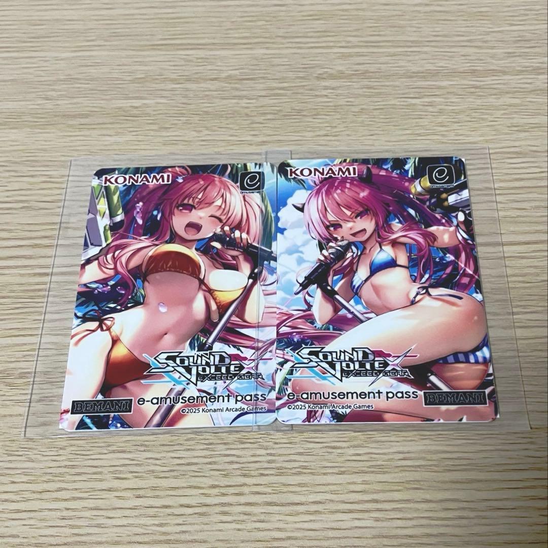 サウンドボルテックス　ボルテくじ e amusement pass セット